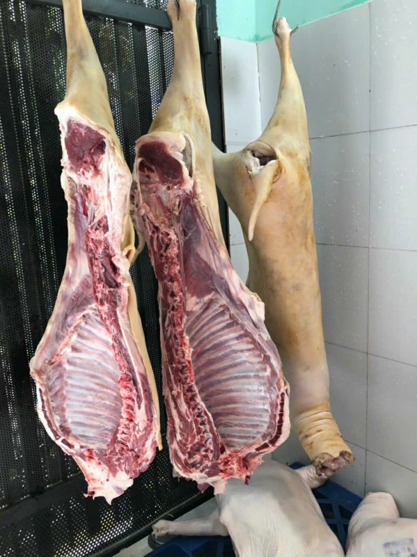 Công Ty TNHH Đầu Tư Quốc Tế Nông Nghiệp Nghỉ Dưỡng Tình Thân