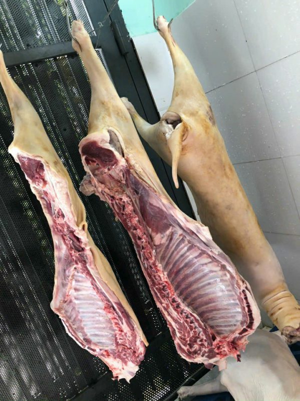 Công Ty TNHH Đầu Tư Quốc Tế Nông Nghiệp Nghỉ Dưỡng Tình Thân