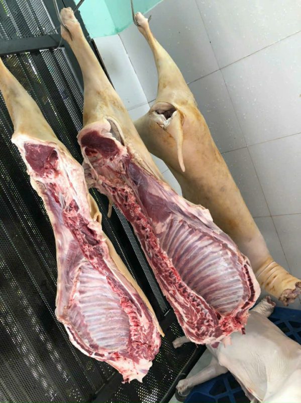 Công Ty TNHH Đầu Tư Quốc Tế Nông Nghiệp Nghỉ Dưỡng Tình Thân