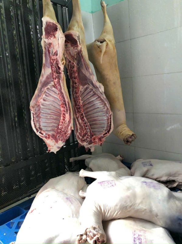 Công Ty TNHH Đầu Tư Quốc Tế Nông Nghiệp Nghỉ Dưỡng Tình Thân