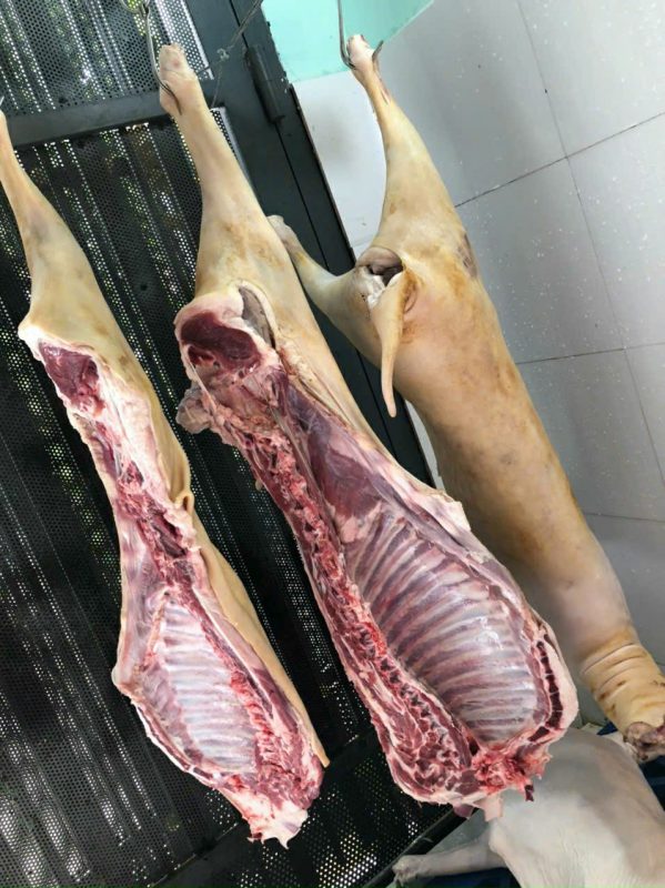 Công Ty TNHH Đầu Tư Quốc Tế Nông Nghiệp Nghỉ Dưỡng Tình Thân