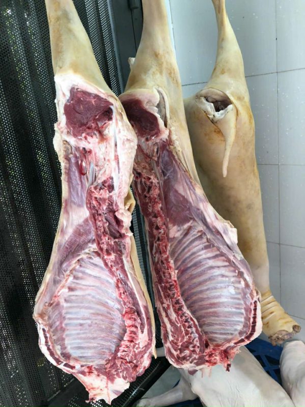 Công Ty TNHH Đầu Tư Quốc Tế Nông Nghiệp Nghỉ Dưỡng Tình Thân