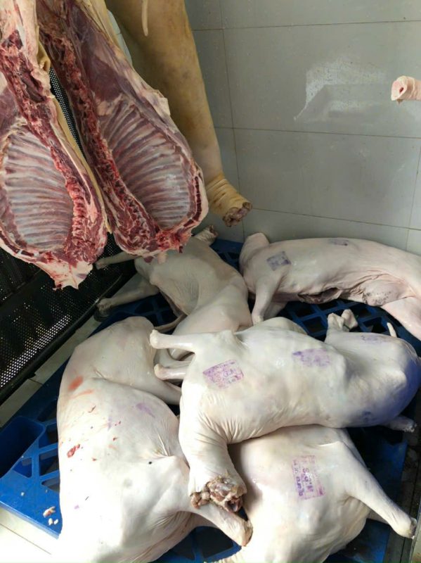 Công Ty TNHH Đầu Tư Quốc Tế Nông Nghiệp Nghỉ Dưỡng Tình Thân