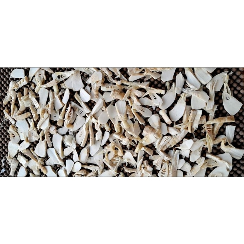 Công Ty TNHH Đầu Tư Quốc Tế Nông Nghiệp Nghỉ Dưỡng Tình Thân