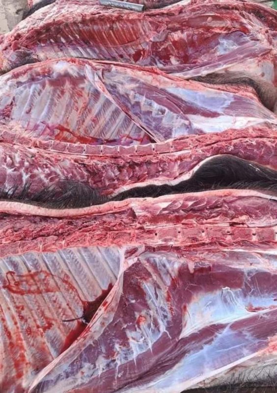 Công Ty TNHH Đầu Tư Quốc Tế Nông Nghiệp Nghỉ Dưỡng Tình Thân