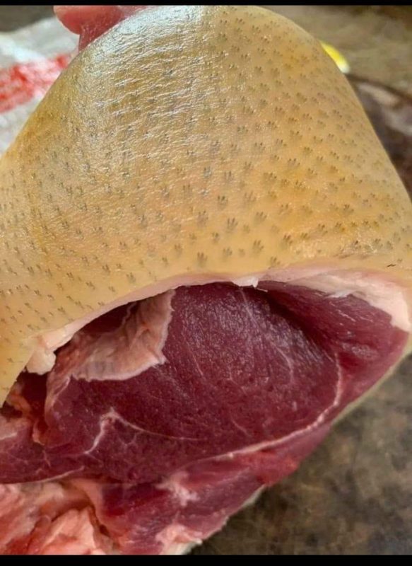 Công Ty TNHH Đầu Tư Quốc Tế Nông Nghiệp Nghỉ Dưỡng Tình Thân