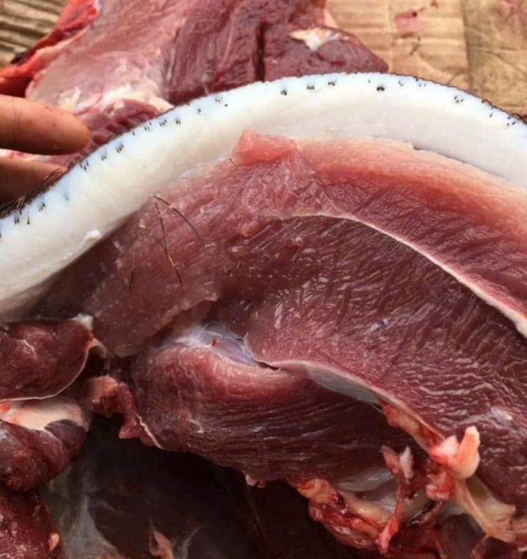 Công Ty TNHH Đầu Tư Quốc Tế Nông Nghiệp Nghỉ Dưỡng Tình Thân