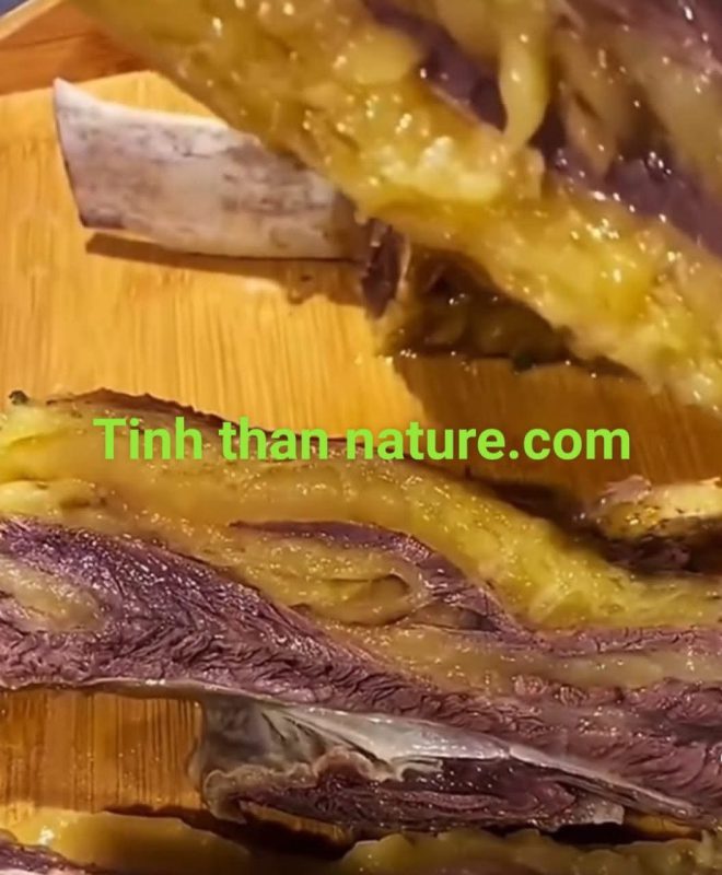 Công Ty TNHH Đầu Tư Quốc Tế Nông Nghiệp Nghỉ Dưỡng Tình Thân