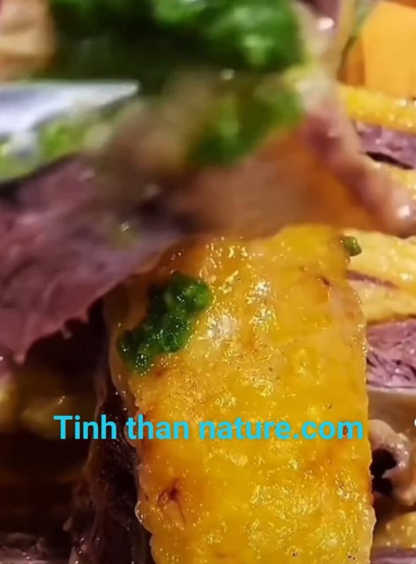 Công Ty TNHH Đầu Tư Quốc Tế Nông Nghiệp Nghỉ Dưỡng Tình Thân