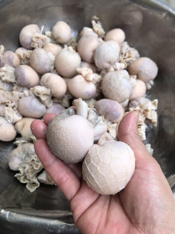 Công Ty TNHH Đầu Tư Quốc Tế Nông Nghiệp Nghỉ Dưỡng Tình Thân