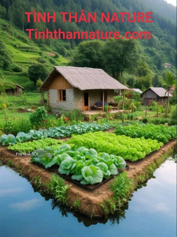 Công Ty TNHH Đầu Tư Quốc Tế Nông Nghiệp Nghỉ Dưỡng Tình Thân