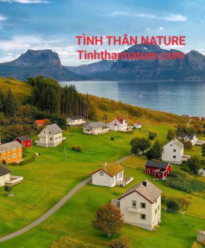 Công Ty TNHH Đầu Tư Quốc Tế Nông Nghiệp Nghỉ Dưỡng Tình Thân