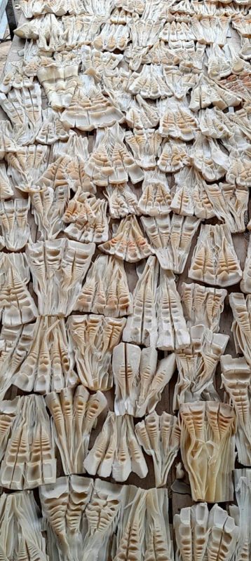 Công Ty TNHH Đầu Tư Quốc Tế Nông Nghiệp Nghỉ Dưỡng Tình Thân