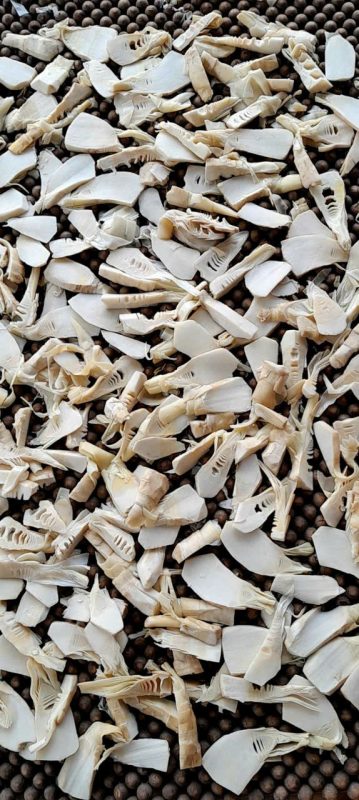 Công Ty TNHH Đầu Tư Quốc Tế Nông Nghiệp Nghỉ Dưỡng Tình Thân