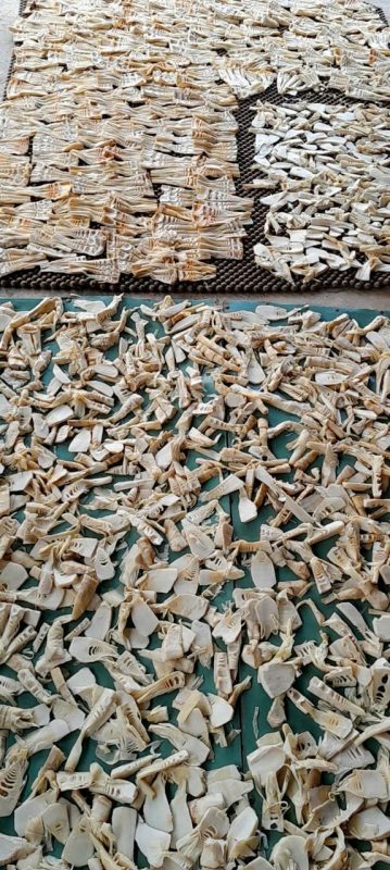 Công Ty TNHH Đầu Tư Quốc Tế Nông Nghiệp Nghỉ Dưỡng Tình Thân