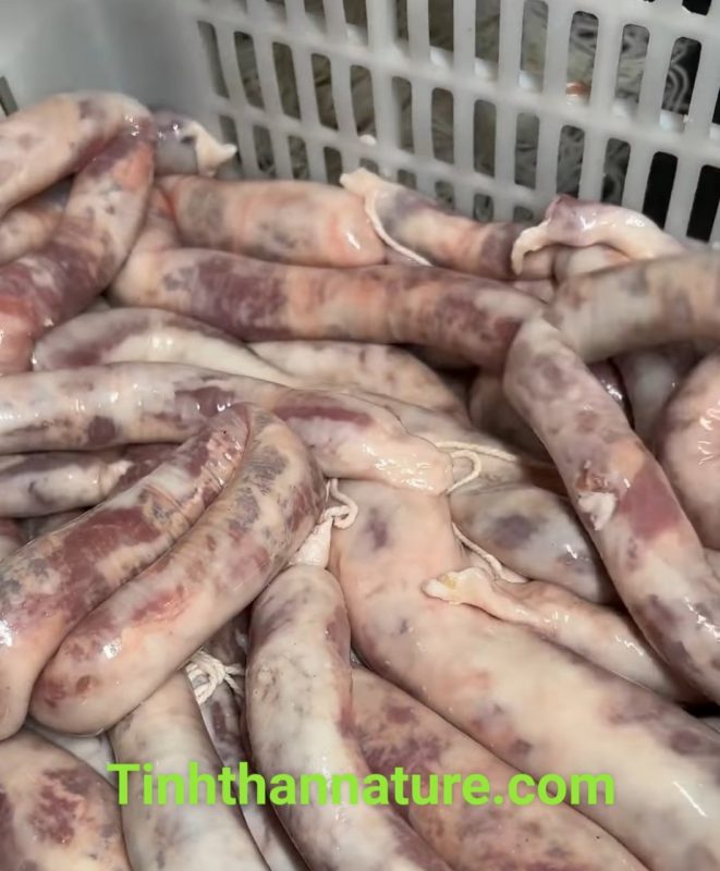 Công Ty TNHH Đầu Tư Quốc Tế Nông Nghiệp Nghỉ Dưỡng Tình Thân