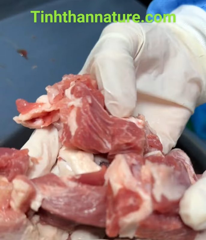 Công Ty TNHH Đầu Tư Quốc Tế Nông Nghiệp Nghỉ Dưỡng Tình Thân