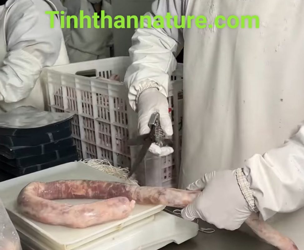 Công Ty TNHH Đầu Tư Quốc Tế Nông Nghiệp Nghỉ Dưỡng Tình Thân