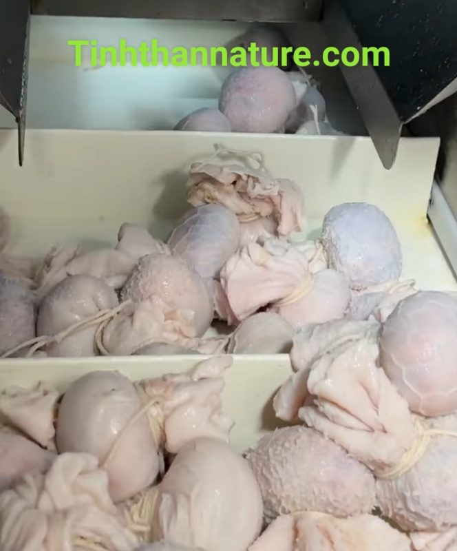 Công Ty TNHH Đầu Tư Quốc Tế Nông Nghiệp Nghỉ Dưỡng Tình Thân