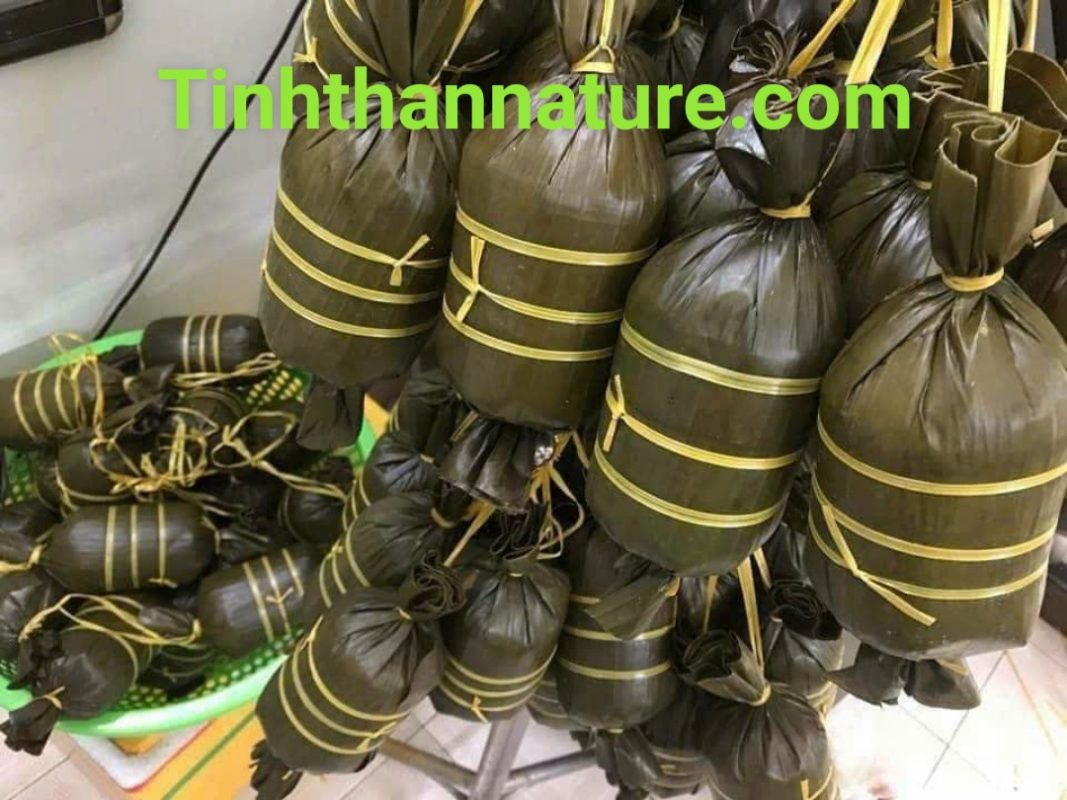 Công Ty TNHH Đầu Tư Quốc Tế Nông Nghiệp Nghỉ Dưỡng Tình Thân