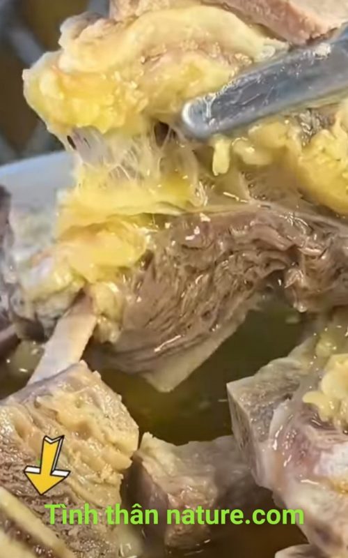 Công Ty TNHH Đầu Tư Quốc Tế Nông Nghiệp Nghỉ Dưỡng Tình Thân