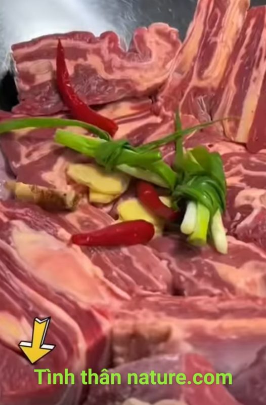 Công Ty TNHH Đầu Tư Quốc Tế Nông Nghiệp Nghỉ Dưỡng Tình Thân