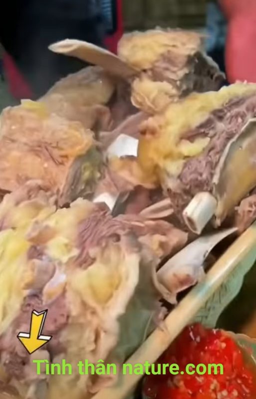 Công Ty TNHH Đầu Tư Quốc Tế Nông Nghiệp Nghỉ Dưỡng Tình Thân