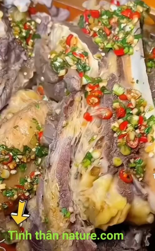 Công Ty TNHH Đầu Tư Quốc Tế Nông Nghiệp Nghỉ Dưỡng Tình Thân