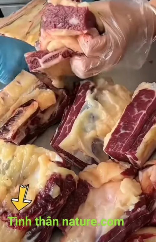 Công Ty TNHH Đầu Tư Quốc Tế Nông Nghiệp Nghỉ Dưỡng Tình Thân