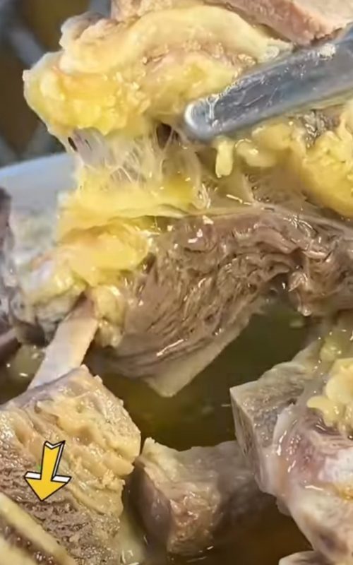 Công Ty TNHH Đầu Tư Quốc Tế Nông Nghiệp Nghỉ Dưỡng Tình Thân