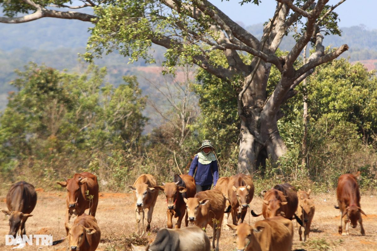 Công Ty TNHH Đầu Tư Quốc Tế Nông Nghiệp Nghỉ Dưỡng Tình Thân