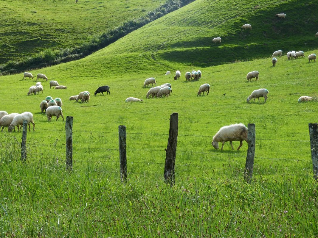 Công Ty TNHH Đầu Tư Quốc Tế Nông Nghiệp Nghỉ Dưỡng Tình Thân