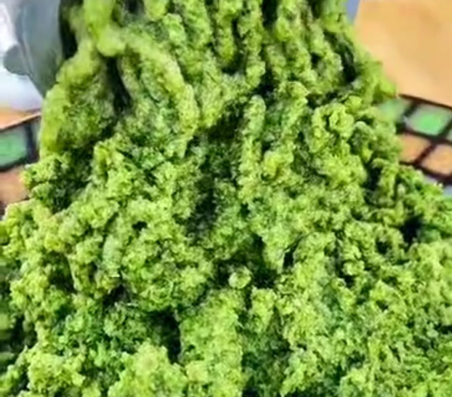 Công Ty TNHH Đầu Tư Quốc Tế Nông Nghiệp Nghỉ Dưỡng Tình Thân