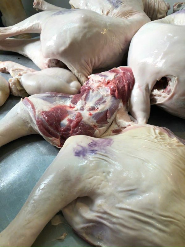 Công Ty TNHH Đầu Tư Quốc Tế Nông Nghiệp Nghỉ Dưỡng Tình Thân