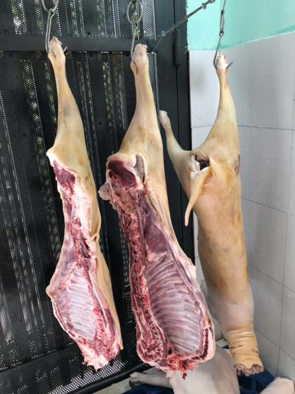 Công Ty TNHH Đầu Tư Quốc Tế Nông Nghiệp Nghỉ Dưỡng Tình Thân