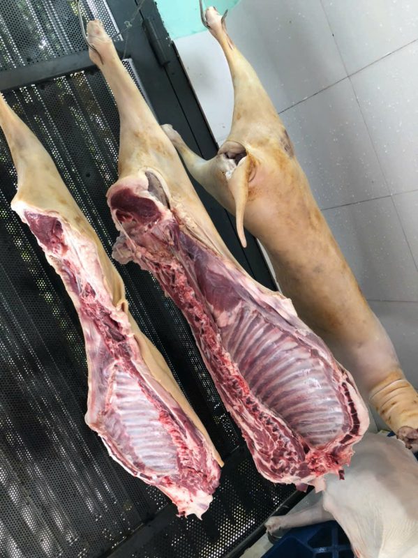 Công Ty TNHH Đầu Tư Quốc Tế Nông Nghiệp Nghỉ Dưỡng Tình Thân