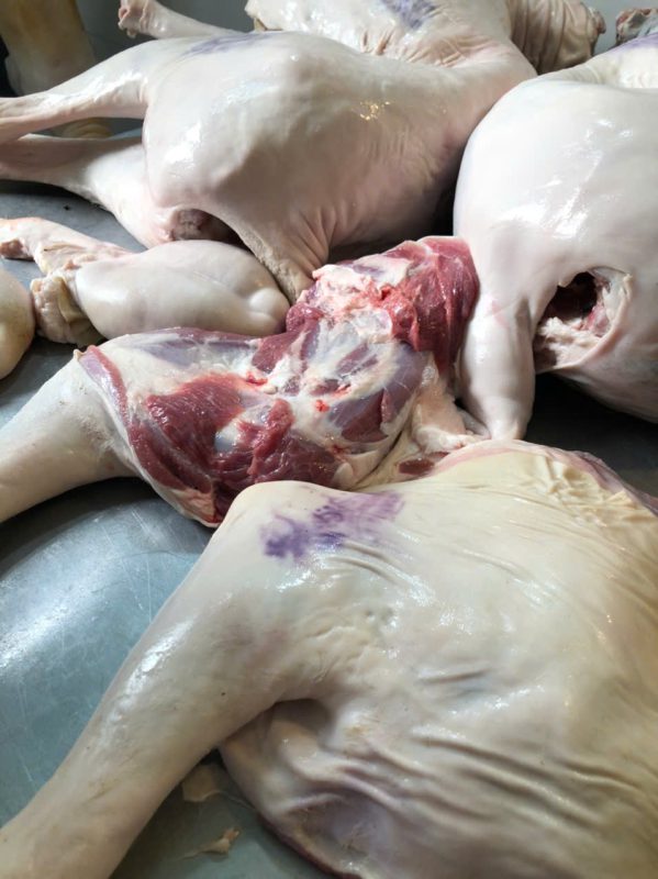 Công Ty TNHH Đầu Tư Quốc Tế Nông Nghiệp Nghỉ Dưỡng Tình Thân