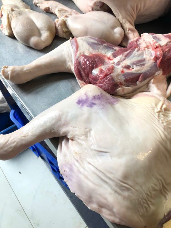 Công Ty TNHH Đầu Tư Quốc Tế Nông Nghiệp Nghỉ Dưỡng Tình Thân