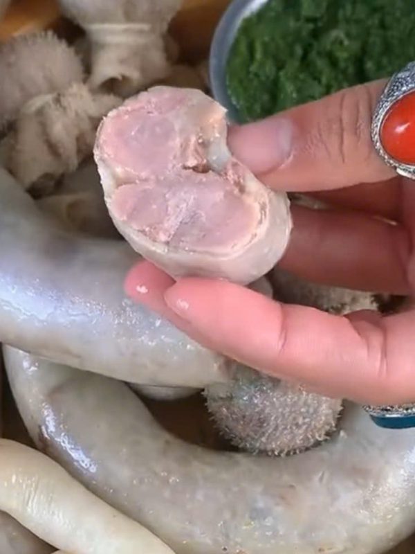 Công Ty TNHH Đầu Tư Quốc Tế Nông Nghiệp Nghỉ Dưỡng Tình Thân